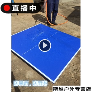 标准比赛乒乓球台乒乓球桌面乒乓国标货折叠