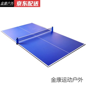 简易乒乓球桌 室内家用标准比赛乒乓球桌面多型号儿童简易兵乓球台面SN2583
