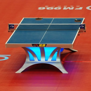 双鱼（DOUBLE FISH）国际大赛标准展翅王乒乓球台 标准乒乓球桌 ITTF认证 不带灯款