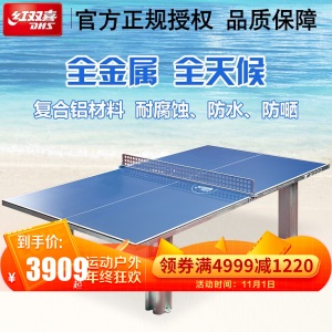 DHS/红双喜乒乓球桌室外乒乓球台双拱彩虹乒乓球案子防水防嗮户外标准球台