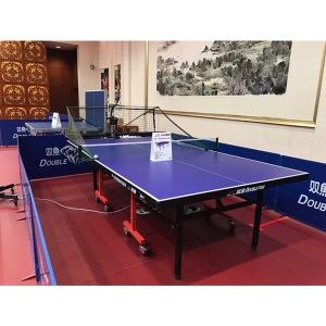 双鱼（DOUBLE FISH）乒乓球台室内标准201比赛训练家用可折叠移动乒乓球桌 201