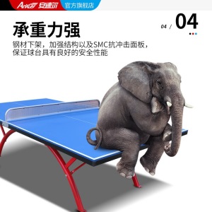 安速尔（Anxuer） 乒乓球桌家用室外不锈钢兵浜球桌户外钢板兵乓球台案子