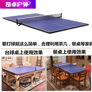 乒乓球台面桌板标准比赛乒乓球桌面折叠面桌板乒乓球台面桌面乒乓板面