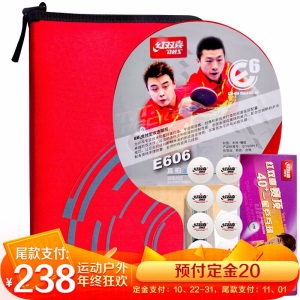 红双喜(DHS)专业乒乓球桌家用训练健身折叠式球台T2828(附带网架、乒拍、乒球)