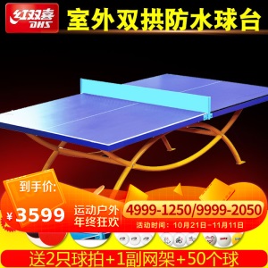 红双喜室外乒乓球台 户外乒乓球桌防雨 防晒 OT8686双拱标准案子 【江浙沪地区】送1网架 2球拍