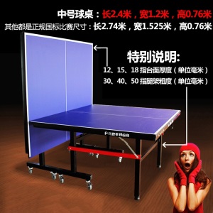 家用可折叠式标准室内乒乓球桌案子带轮可移动式比赛专用乒乓球台 【室外款】15mm防水SMC厚40