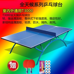 红双喜  户外标准乒乓球台 OT8686