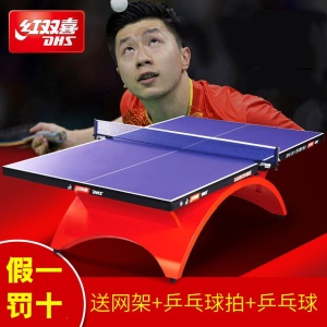 红双喜（DHS） 乒乓球桌室内家用标准移动彩虹可折叠训练乒乓球台兵乓球台