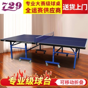 729乒乓球桌正品家用可折叠移动式室内乒乓球台训练比赛用 TB-2MAX TB-2MAX
