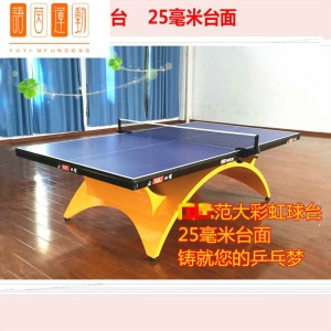 大彩虹小彩虹标准室内乒乓球台家用俱乐部球馆比赛乒乓球桌案子