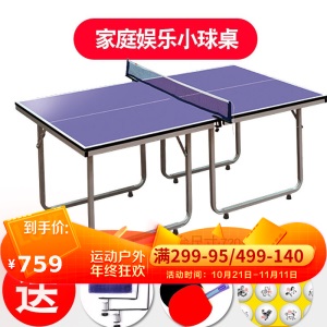 红双喜乒乓球桌儿童迷你型小号家用T919室内小型乒乓球台可折叠式 【江浙沪地区】TM616