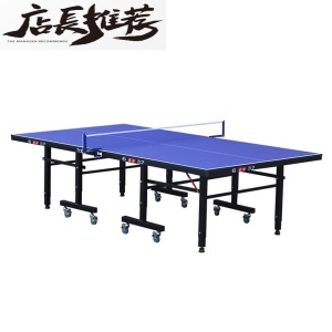 乒乓球桌小球台桌面小型便携可推拉桌板休闲约家用