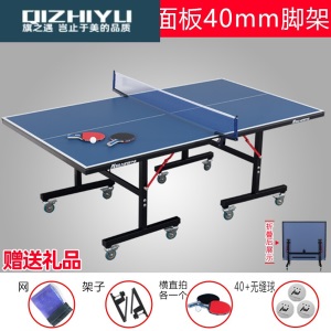 乒乓球桌家用可折叠室内室外乒乓球台户外小乒乓球案子儿童迷你小型简易中号SN7528