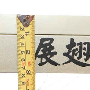 双鱼（DOUBLE FISH）展翅王黄金款大赛标准乒乓球台 乒乓球桌 ITTF认证  不带灯