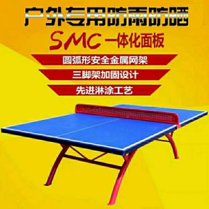 星克士 SMC标准室外乒乓球台户外防水防酸雨防晒乒乓球桌案 大边新国标款