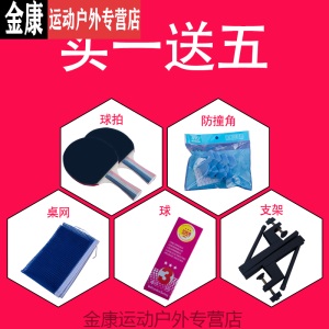 乒乓球桌板 室内乒乓球桌家用可折叠式移动乒乓球台标准型训练兵乓球案子MSY 12mm厚台面*30mm桌脚