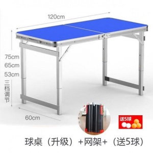 儿童乒乓球台家用折叠儿童室内简易乒乓球台家用乒乓球桌中号学生