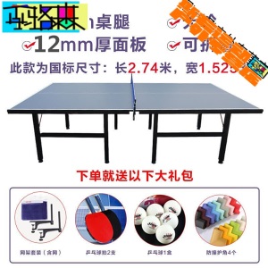 乒乓球桌家用乒乓球台可折叠式标准室内可移动案子比赛用