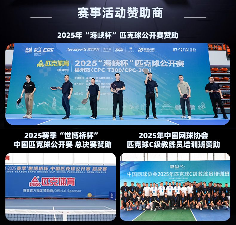 匹克球拍板入门级官方匹克球全套pickleball球拍训练匹克球板拍球(图4)
