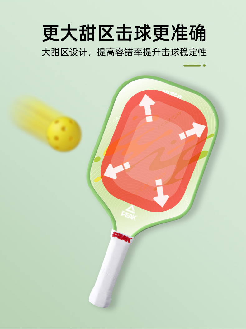 匹克球拍板入门级官方匹克球全套pickleball球拍训练匹克球板拍球(图11)