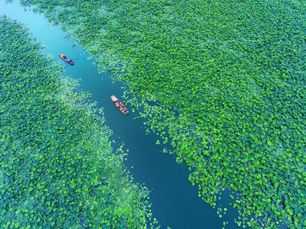 广东省文化和旅游厅网站:“跟着美食去旅行”十二条主题线路(图11)