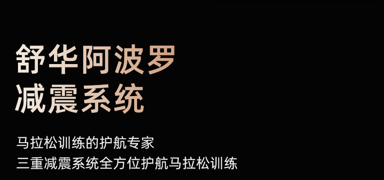 舒华马拉松跑步机家用款可折叠静音爬坡阿波罗减震室内健身器材E9(图11)