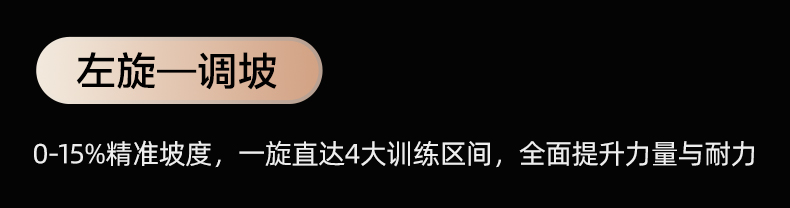 舒华马拉松跑步机家用款可折叠静音爬坡阿波罗减震室内健身器材E9(图22)