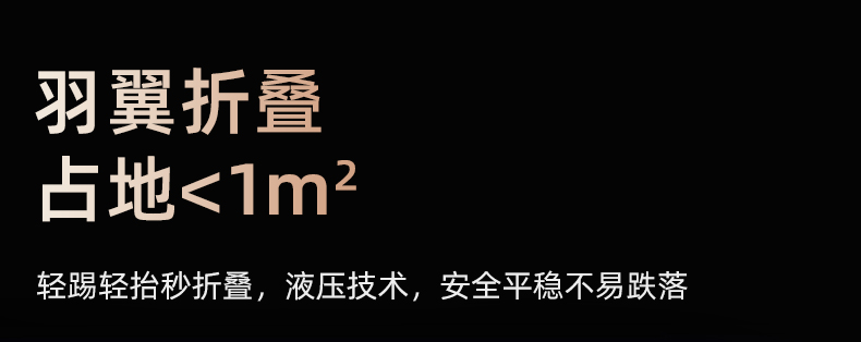 舒华马拉松跑步机家用款可折叠静音爬坡阿波罗减震室内健身器材E9(图30)