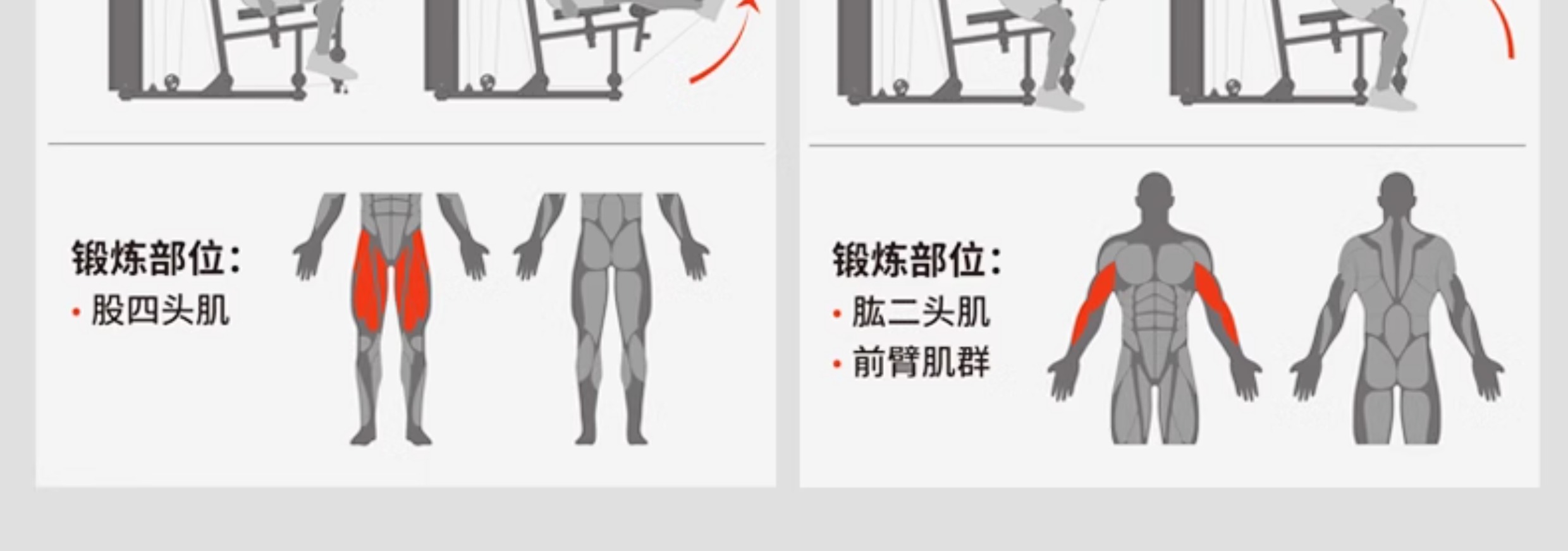 舒华单人站健身器材家用款肌肉力量运动单位室内综合训练器G5201(图9)